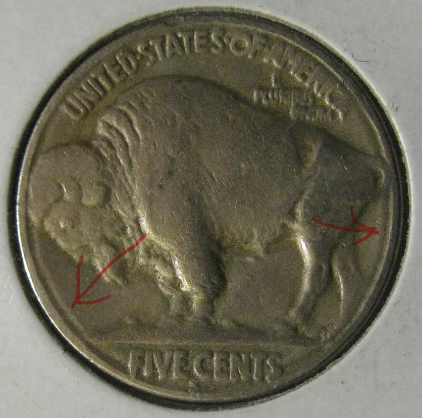 General-Question-About-Oddity-On-Buffalos